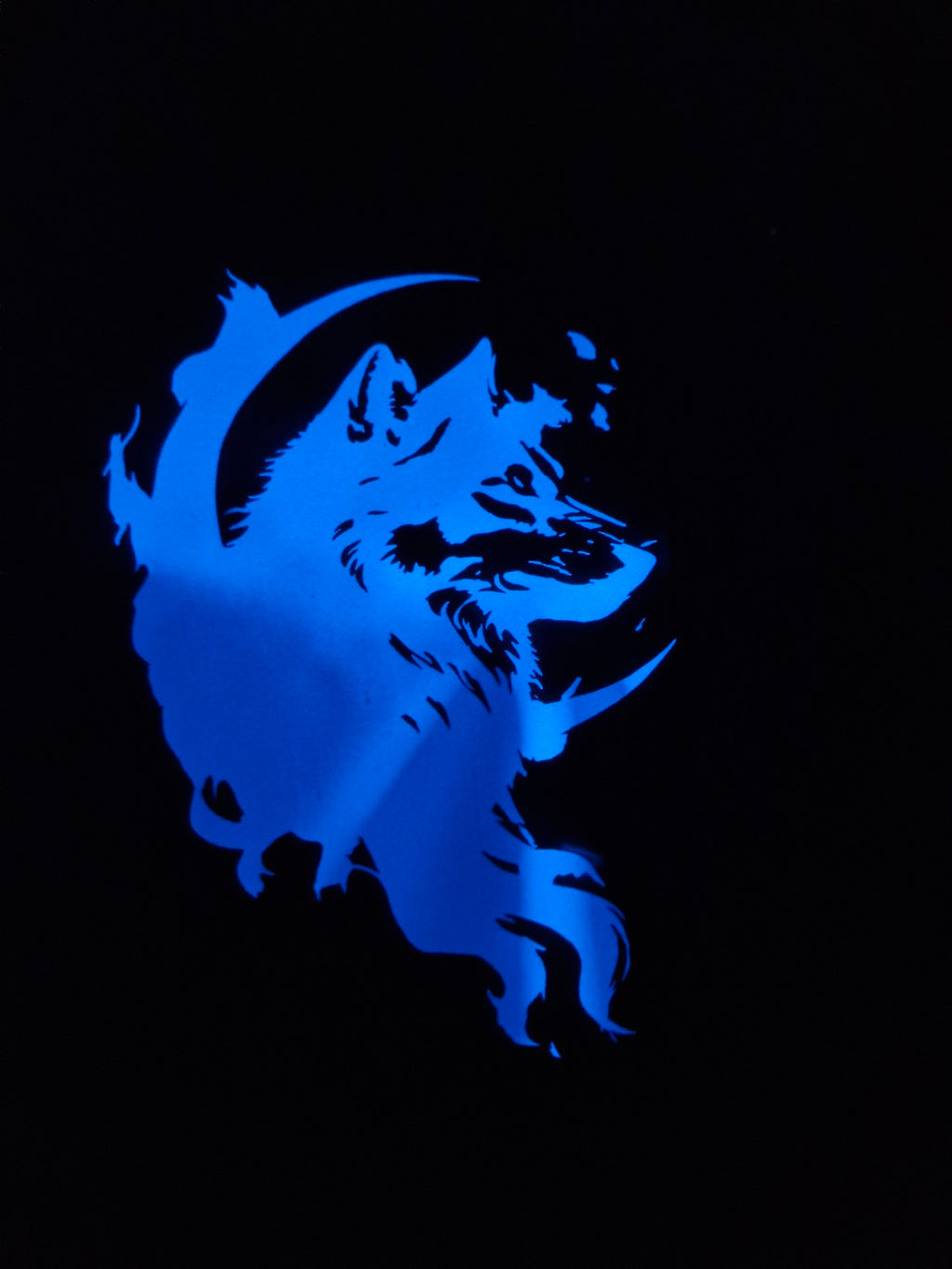 T-shirt Phosphorescent – Chien