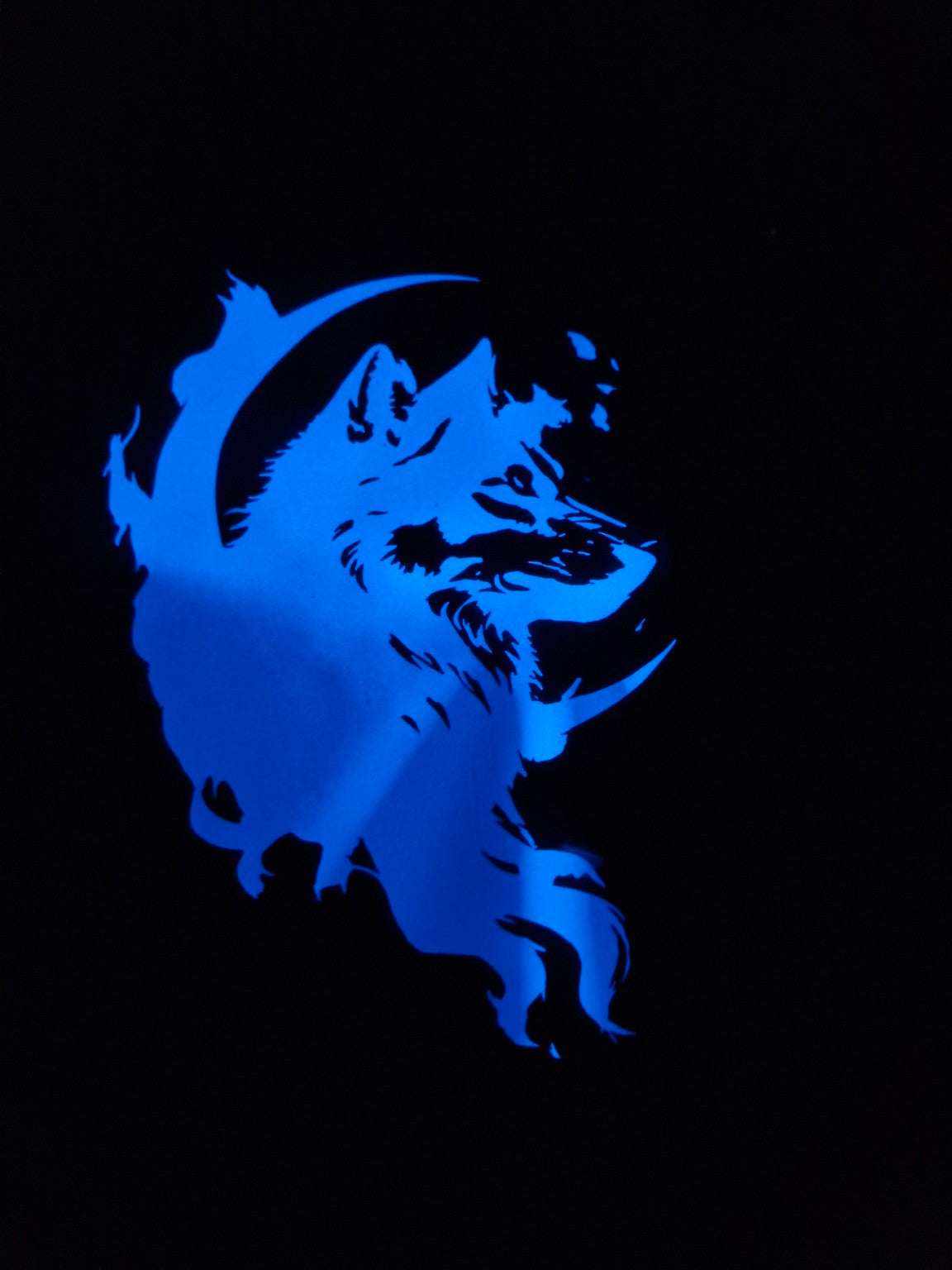 T-shirt Phosphorescent – Chien